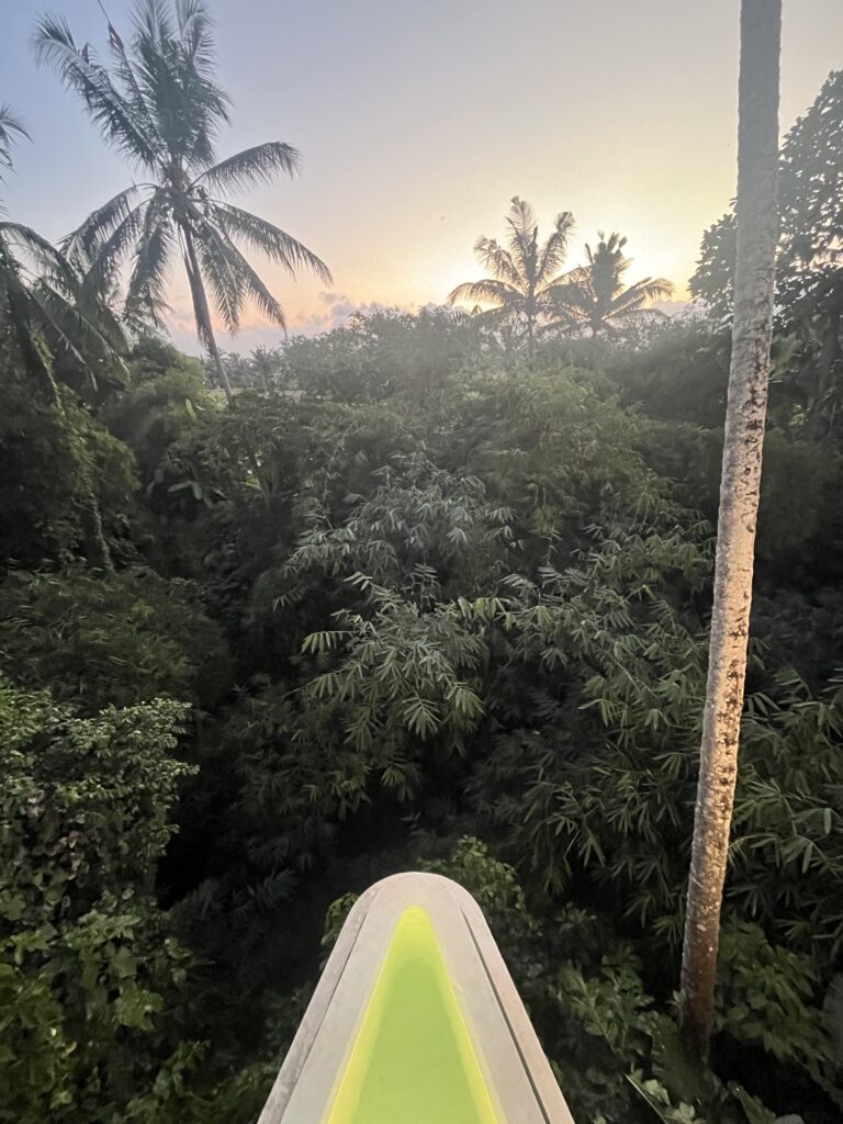 Ubud Hotel