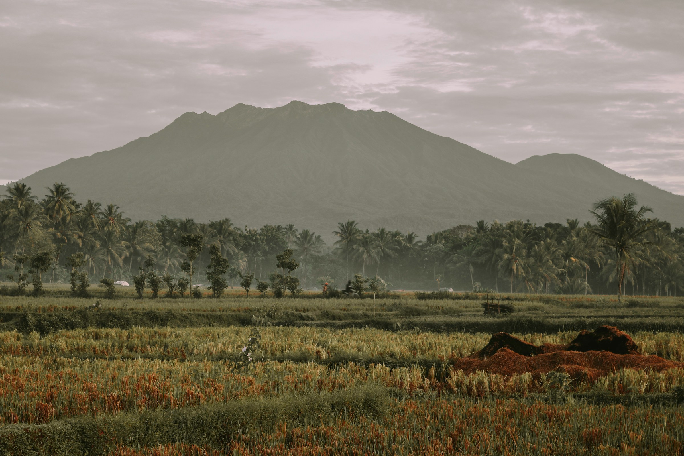 Java Trein scene