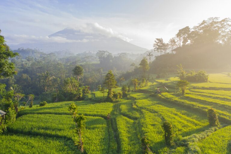 rijstvelden Sidemen Bali